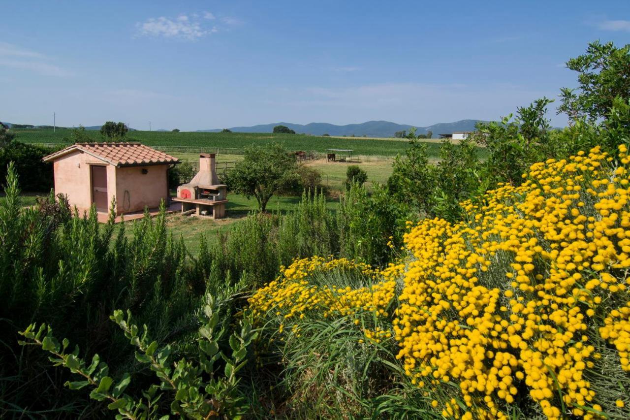 Agriturismo Il Melograno Di Banditella Alberese Eksteriør billede