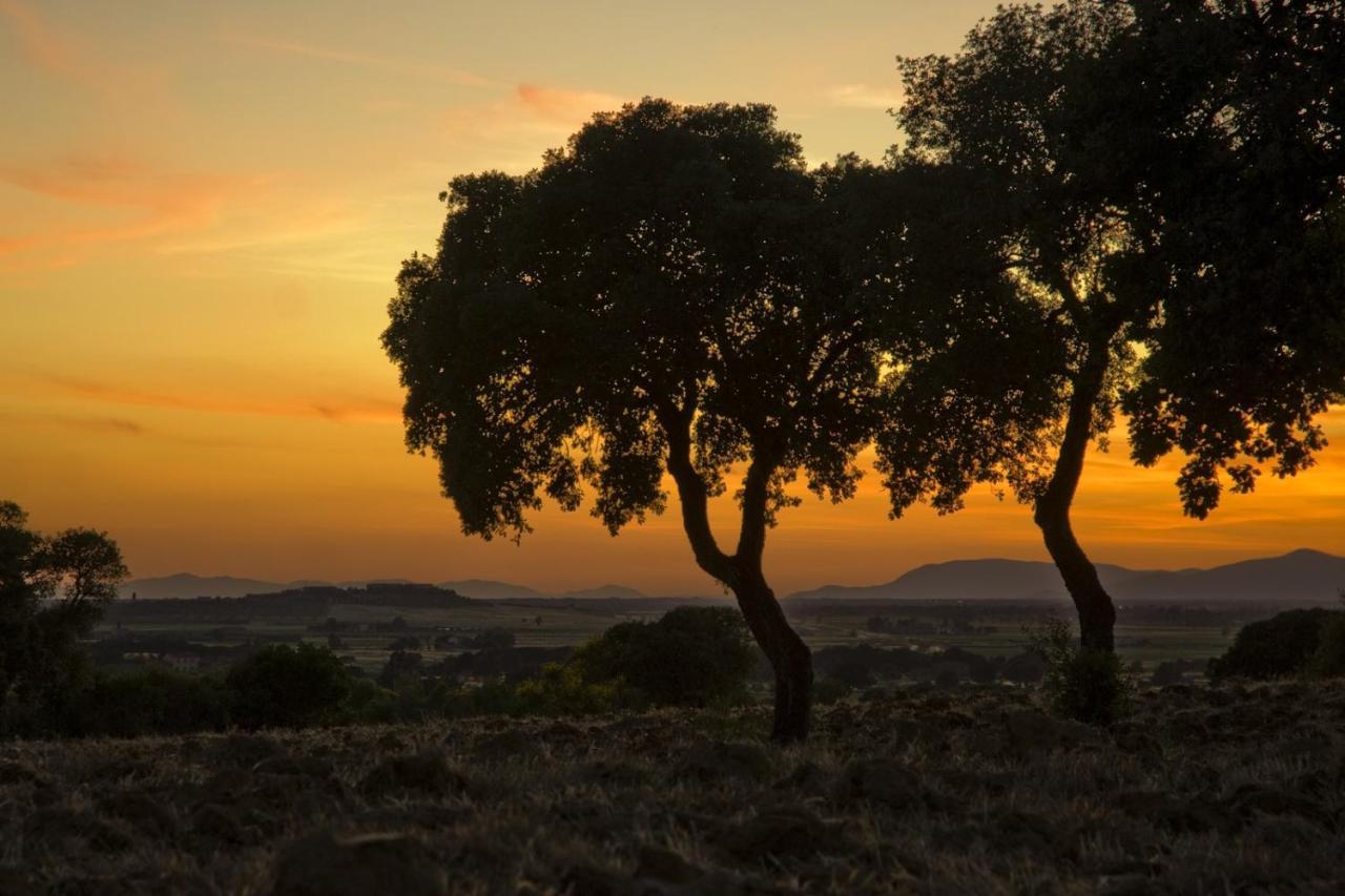 Agriturismo Il Melograno Di Banditella Alberese Eksteriør billede